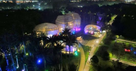 Alumbrados navideños: Jardín Botánico
