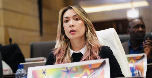 Suspenden a Katerine Miranda por insulto en debate de la reforma a la salud: ¿qué fue lo que dijo?