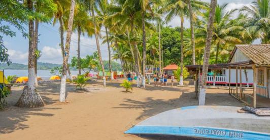 Colombia rompe récord en ingreso de divisas por turismo en 2024