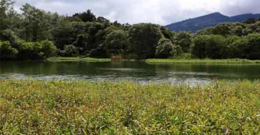 Colombia refuerza su compromiso con la protección de los humedales en el Día Mundial de los Humedales