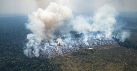 Según la ONU, 2024 fue el año más caluroso jamás registrado. / AFP.