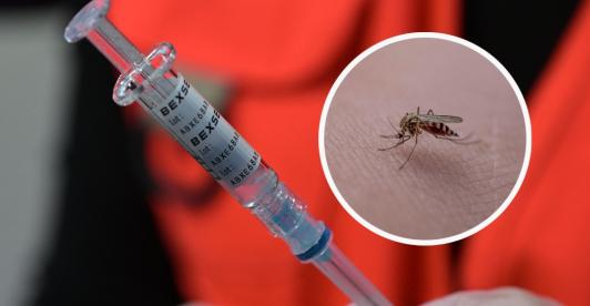 Municipios alto riesgo fiebre amarilla. / Fotos: AFP y Pixabay.