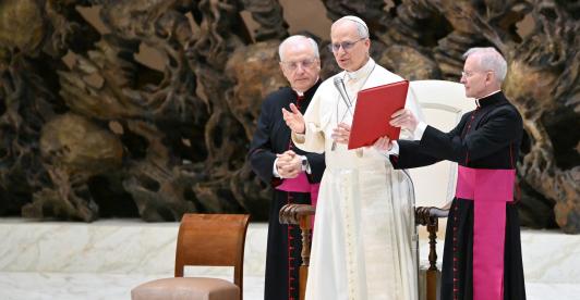 "Reitero la solidaridad de la Iglesia con los periodistas encarcelados por buscar la verdad": Papa León XIV