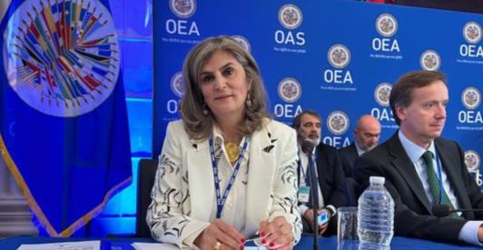 Laura Gil, nueva secretaria adjunta de la OEA. / Foto: Cancillería.