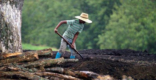 Desempleo en Colombia baja a 8,8% en julio de 2025