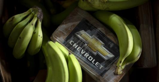 Droga escondida en cargamento de banano.