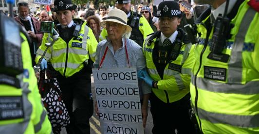 Manifestante en Londres.