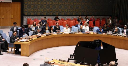 Consejo de Seguridad de la ONU.