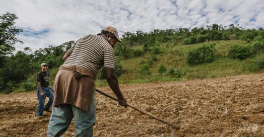 Agro colombiano genera 4,8 millones de empleos