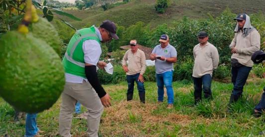 Colombia en más mercados internacionales. / Foto: ICA.