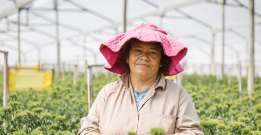 Impulso a la economía colombiana en las mujeres. / Foto: Dirección de Mujer Rural.