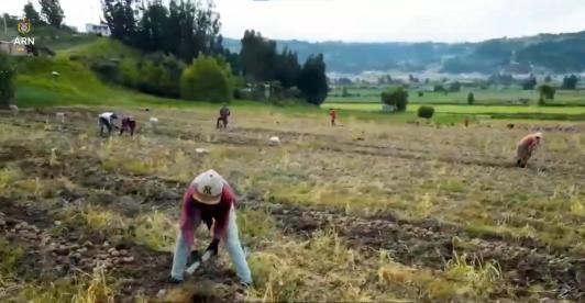 Convocatoria fondo emprender para firmantes de paz que trabajan en el campo