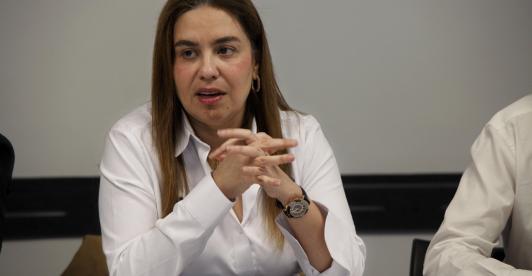 Ministra encargada de Minas y Energía, Karen Schutt.