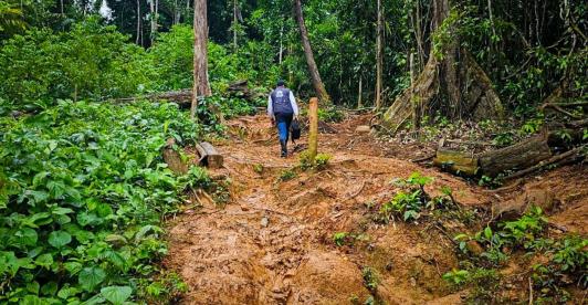 Petro ordena despliegue militar en el Darién 
