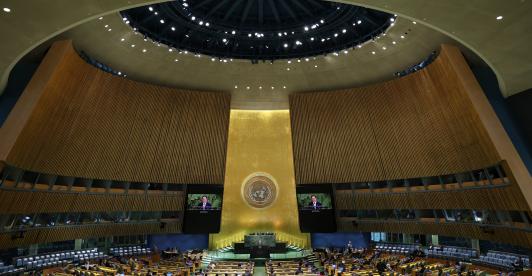 ONU aprueba resolución contra la tortura; EE. UU., Israel y Argentina votan en contra 