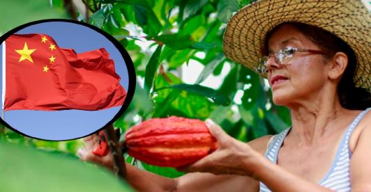 China abre sus puertas al agro colombiano en la VIII Exposición Internacional de Importaciones