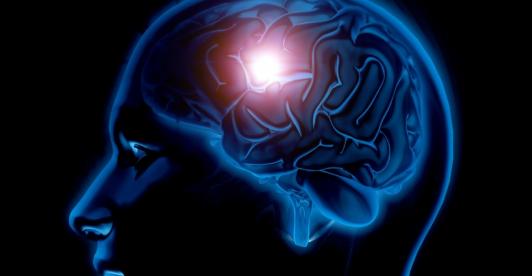 Cerebro. / Foto: Freepik.