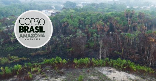 COP30 en Brasil. / Fotos: AFP.