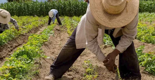 Jurisdicción Agraria sigue estancada en el Congreso