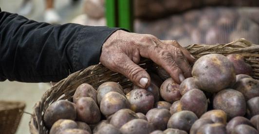 Inflación de noviembre desciende a 5,30% impulsada por caída en precios de alimentos