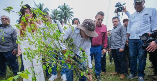 Sustitución de cultivos ilícitos alcanza 26 mil hectáreas en Colombia