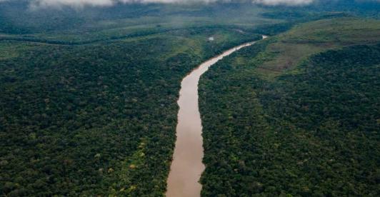 Deforestación en el Amazonas. / Foto: MinAmbiente.