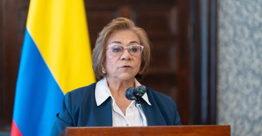 Canciller Rosa Villavicencio.