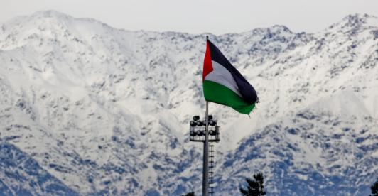 Club Palestino en Chile. / Foto: Página oficial de Palestino.