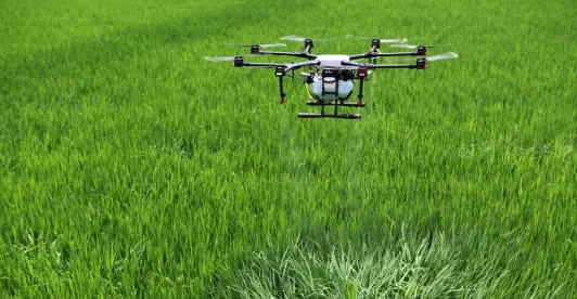 Gobierno autorizó erradicación focalizada de cultivos ilícitos con drones