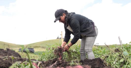 Actividades de agricultura en el ISE 2025. / Foto: X MinAgricultura.