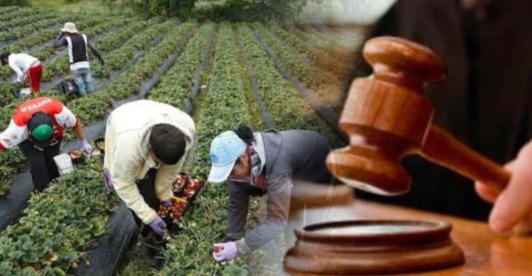 Jurisdicción agraria. / Foto: Senado.