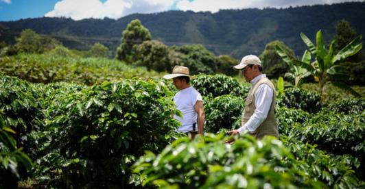 Tasa de desempleo baja en Colombia. / Foto: MinAgricultura.