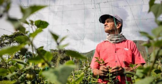 Empleo en Colombia. / Foto: Radio Nacional de Colombia.