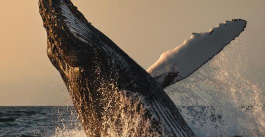 Turismo en Colombia. / Foto: Colombia Travel.