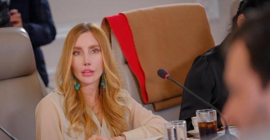 Colombia aplicará arancel del 30% a 23 partidas originarias de Ecuador.