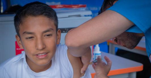 No viaje a zonas endémicas sin vacuna contra la fiebre amarilla.