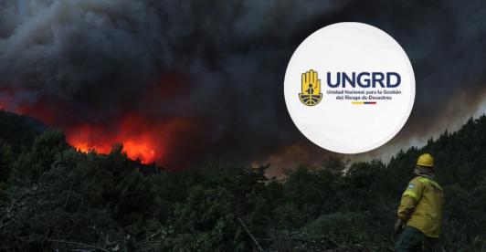 Incendios forestales en Argentina. / Foto: UNGRD y AFP.