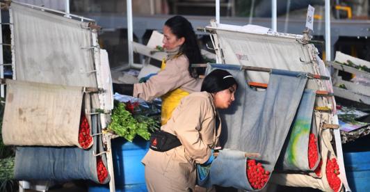 14 de febrero: plazo para consignar cesantías.