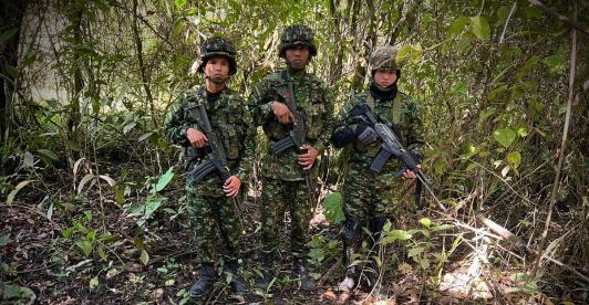 Ejército destruyó 43 explosivos en zona rural de Rovira, Tolima.