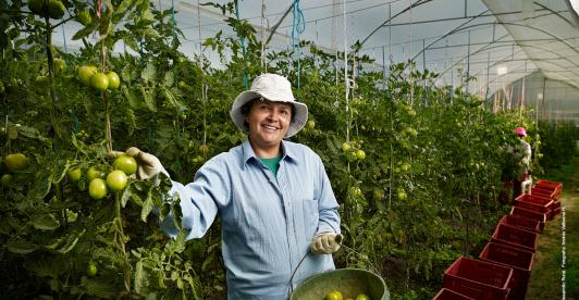 Pacto por el Crédito alcanza 89,6% de la meta y suma $228,1 billones desembolsados