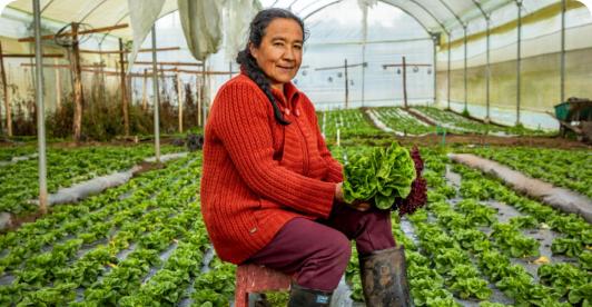 Incremento del presupuesto agropecuario llega a 139%