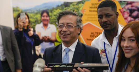 Gobierno Petro ha hecho más de 400 mil operaciones antinarcóticos.