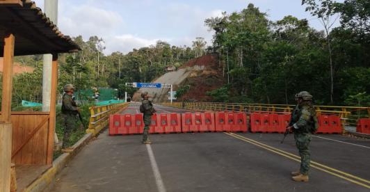 Caen los cultivos de coca en la frontera con Ecuador