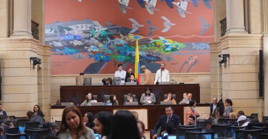 Avanza Proyecto de ley que articula justicia indígena y ordinaria