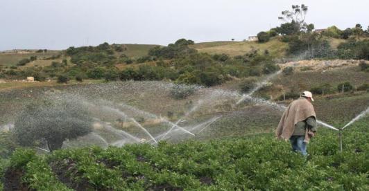 imagen de aspersión de agua en un cultivo en Boyacá