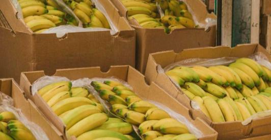 Exportaciones en febrero. / Foto: MinAgricultura.