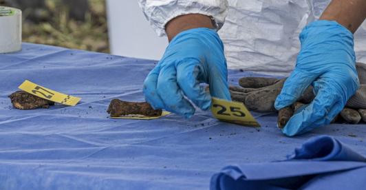 Hallan más de mil fragmentos óseos en lago de Ciudad de México