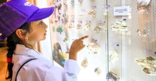 Inversión en educación científica. / Foto: MinEducación.