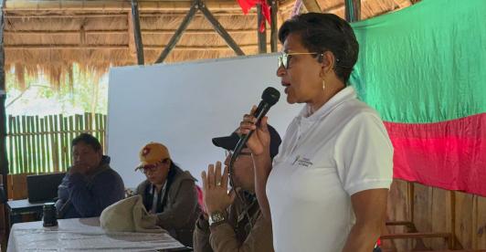 Gobierno ordena medidas especiales para proteger a 31.000 indígenas en el Cauca