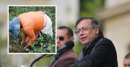 Presidente Petro sobre reducción de cultivos ilícitos. / Fotos: Presidencia y Radio Nacional de Colombia.